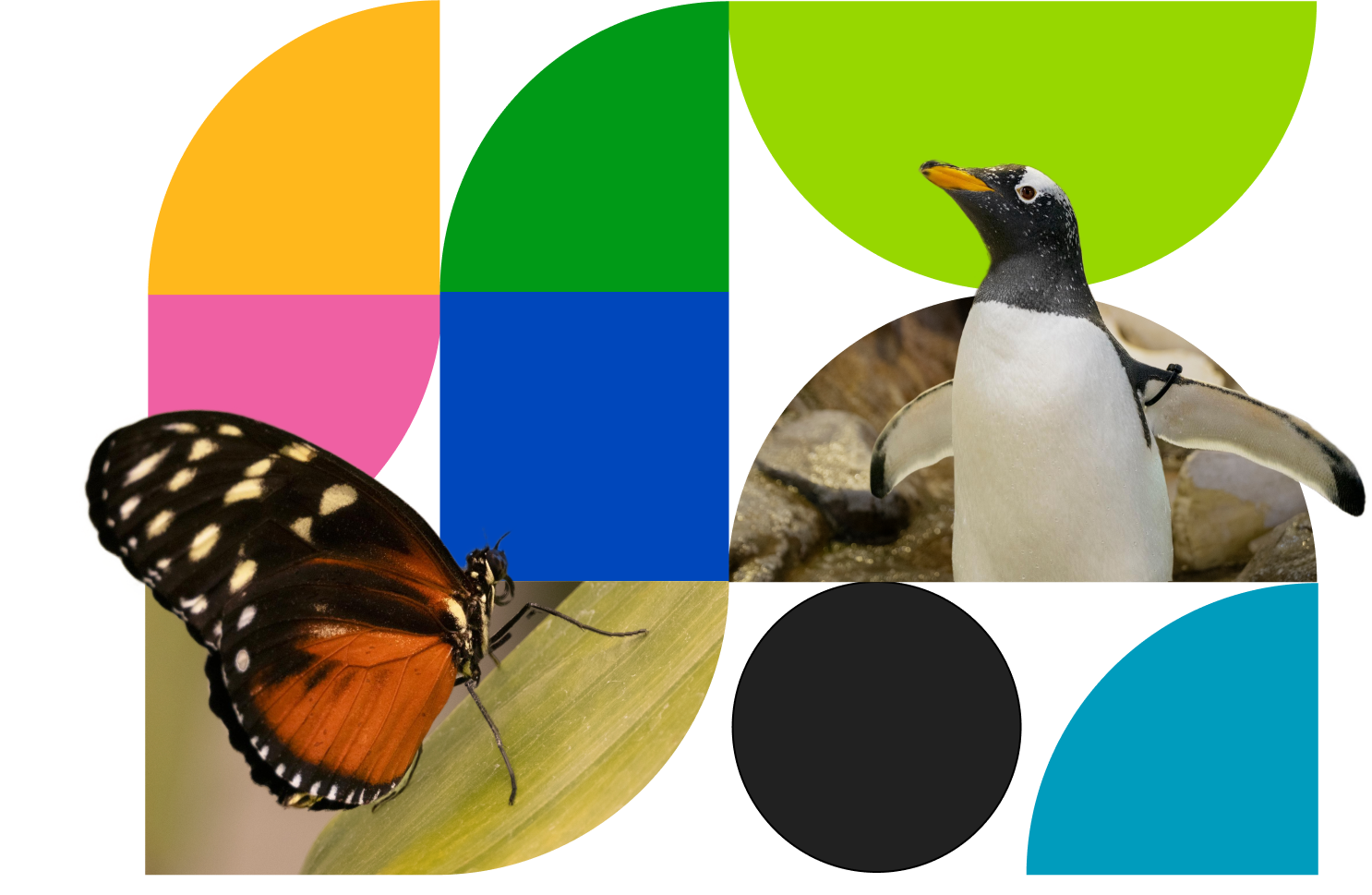 Home Detroit Zoological Society